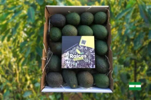 Avocat biologique de Malaga