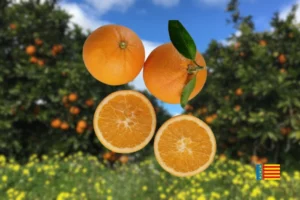 orange 5 kgs
