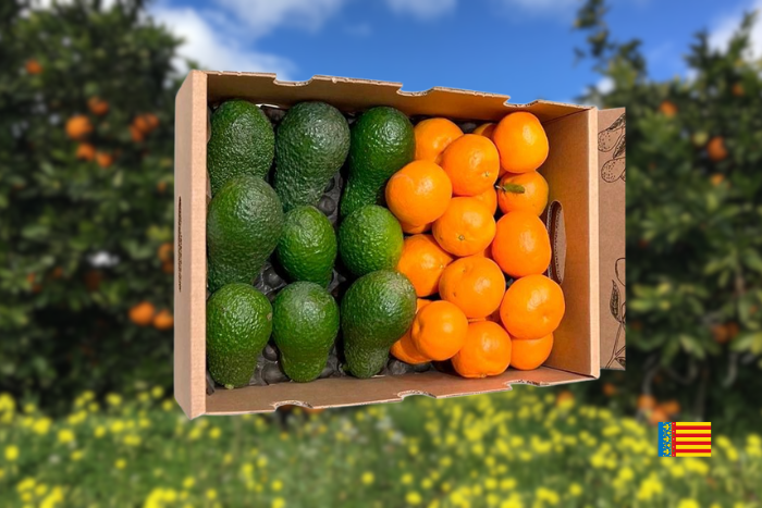Boîte de 2 kg d'avocats Hass et de 2 kg de mandarines